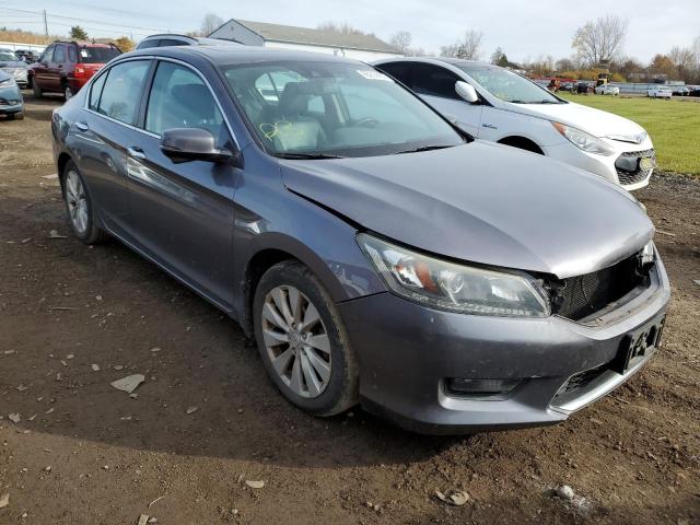 1HGCR2F87EA126242 - 2014 HONDA ACCORD EXL GRAY photo 1