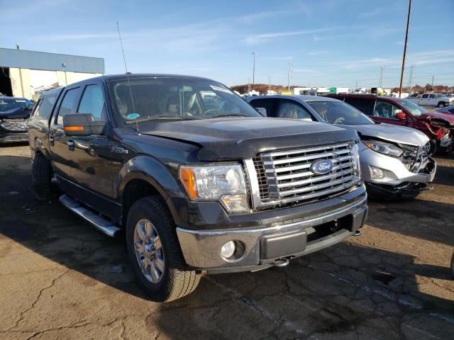 1FTEW1E80AFC34825 - 2010 FORD F150 SUPER BLACK photo 1