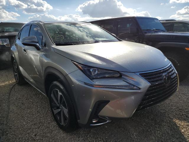 JTJGARDZ5M2251242 - 2021 LEXUS NX 300 BAS 银色 照片 1