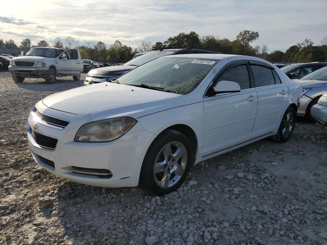 1G1ZC5EB7AF152676 - 2010 CHEVROLET MALIBU 1LT 白色 照片 2