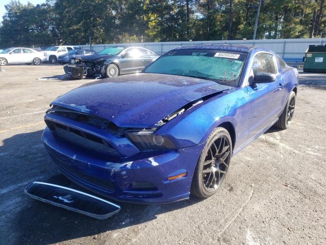 1ZVBP8AM4E5270005 - 2014 FORD MUSTANG BLUE photo 2