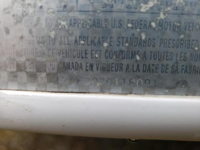 4N11X262030118091 - 2003 ARCTIC CAT TRAILER WHITE photo 10