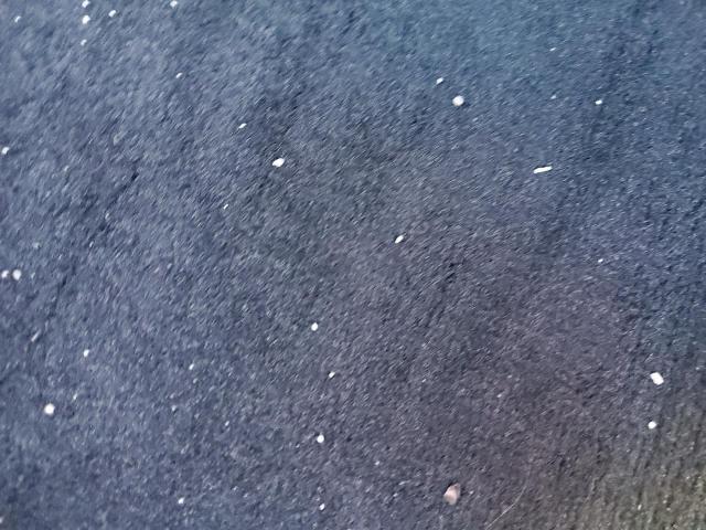 SHHFK7H94JU216015 - 2018 HONDA CIVIC SPOR 黑色 照片 6