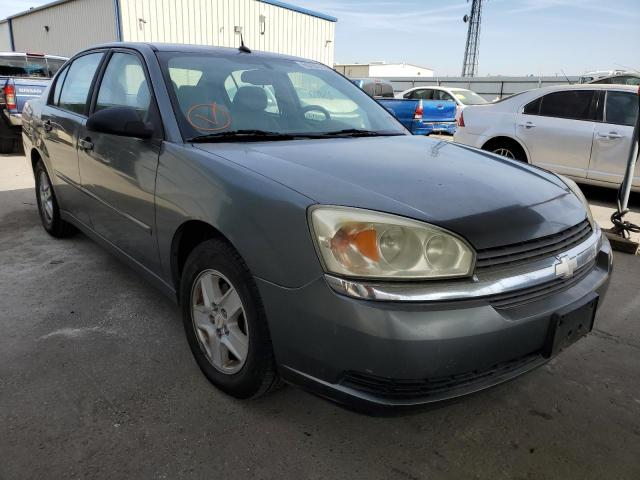 1G1ZT54815F170926 - 2005 CHEVROLET MALIBU GRAY photo 1