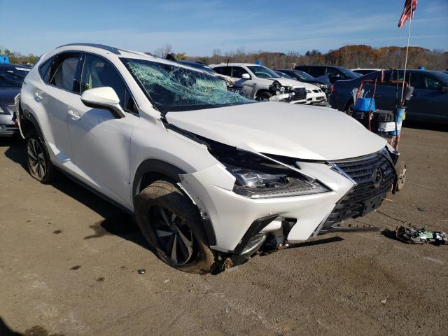 JTJBARBZ8J2157946 - 2018 LEXUS NX 300 BAS WHITE photo 1