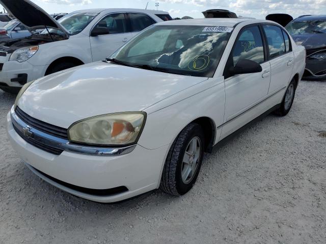 1G1ZT54835F175898 - 2005 CHEVROLET MALIBU LS WHITE photo 2