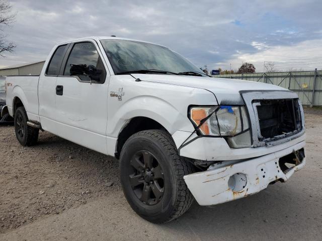 1FTFX1CFXDFA86870 - 2013 FORD F150 SUPER WHITE photo 1