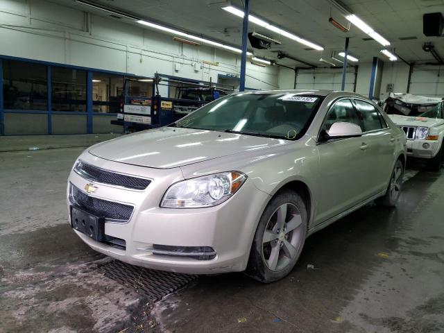 1G1ZC5E17BF324648 - 2011 CHEVROLET MALIBU 1LT 米色 照片 2
