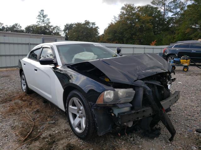 2C3CDXAT0DH721508 - 2013 DODGE CHARGER PO TWO TONE photo 1