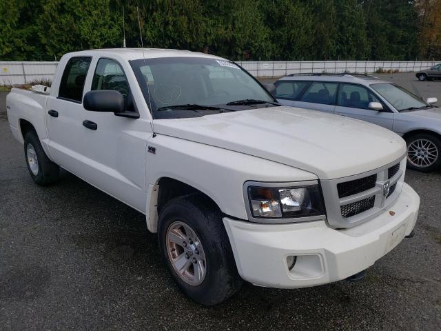 1D3HW38P19S799719 - 2009 DODGE DAKOTA SXT WHITE photo 1