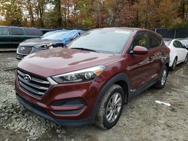 KM8J23A43GU106295 - 2016 HYUNDAI TUCSON SE MAROON photo 2