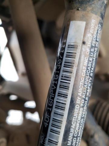 4UF16MPV1GT307111 - 2016 ARCTIC CAT PROWLER მწვანე ფოტო 10