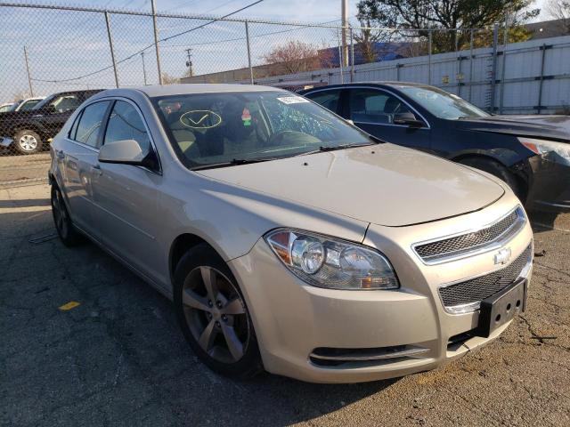 1G1ZC5E19BF284573 - 2011 CHEVROLET MALIBU 1LT კრემისფერი ფოტო 1