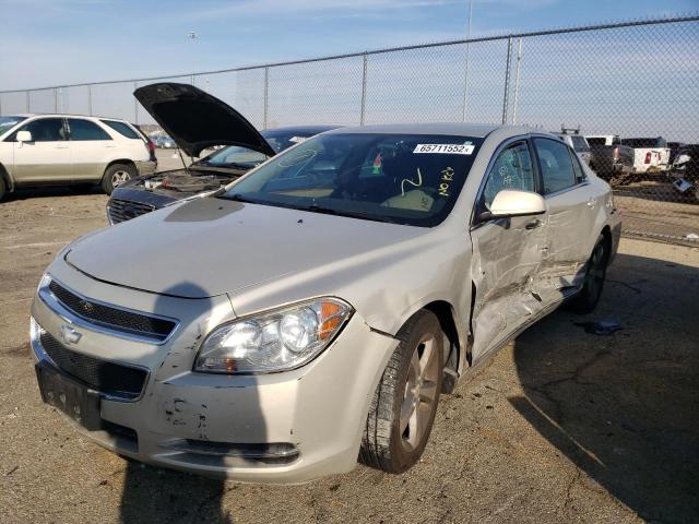 1G1ZC5E19BF284573 - 2011 CHEVROLET MALIBU 1LT კრემისფერი ფოტო 2