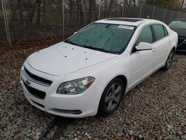 1G1ZC5EU8BF319193 - 2011 CHEVROLET MALIBU 1LT Weiß Foto 2