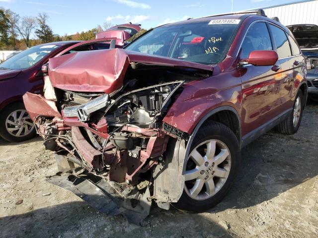 5J6RE48707L001055 - 2007 HONDA CR-V EXL BURGUNDY photo 2