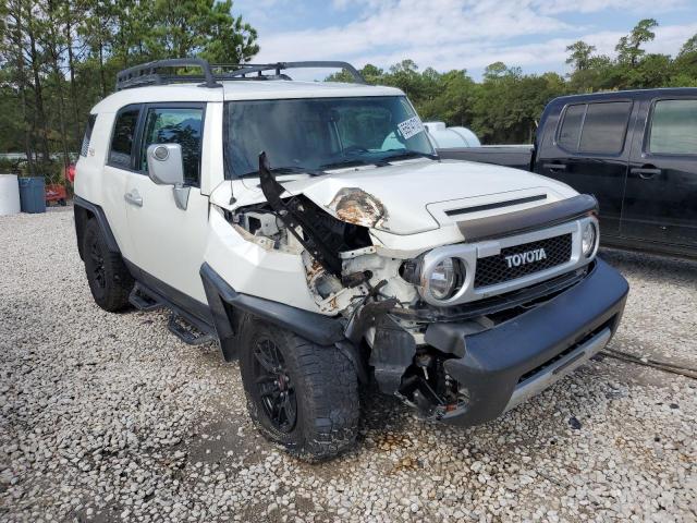 JTEZU4BF4AK008558 - 2010 TOYOTA FJ CRUISER WHITE photo 1