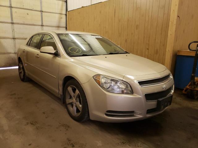 1G1ZC5E1XBF372192 - 2011 CHEVROLET MALIBU 1LT 米色 照片 1