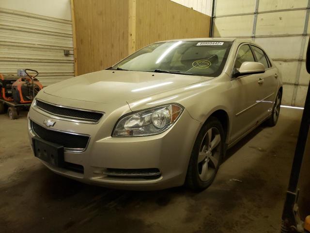 1G1ZC5E1XBF372192 - 2011 CHEVROLET MALIBU 1LT 米色 照片 2