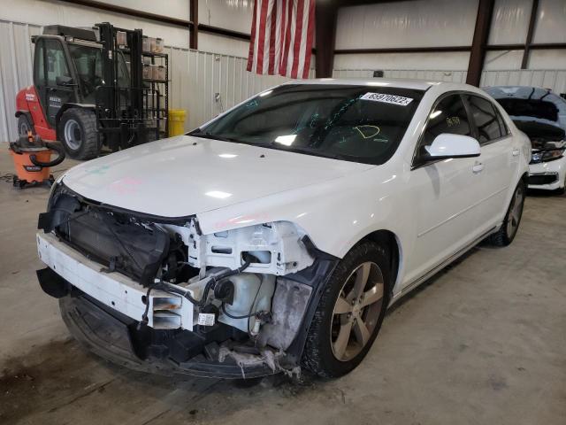 1G1ZC5EU4BF388253 - 2011 CHEVROLET MALIBU 1LT თეთრი ფოტო 2