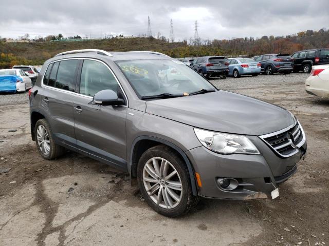 WVGBV7AX3AW519391 - 2010 VOLKSWAGEN TIGUAN SE GRAY photo 1