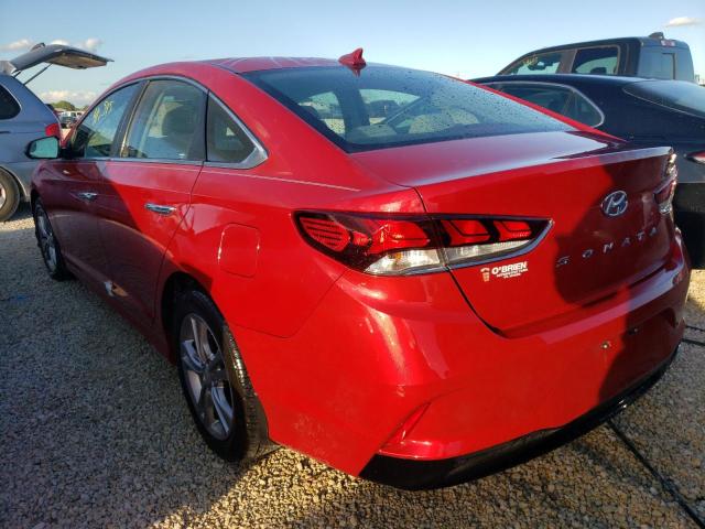 5NPE34AF2JH619307 - 2018 HYUNDAI SONATA SPO RED photo 3