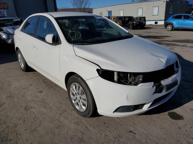 KNAFT4A21C5510547 - 2012 KIA FORTE LX WHITE photo 1