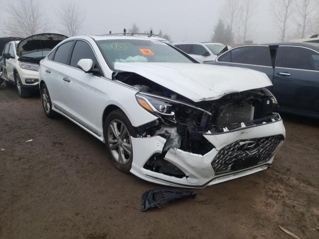 5NPE34AF7JH651654 - 2018 HYUNDAI SONATA SPO WHITE photo 1