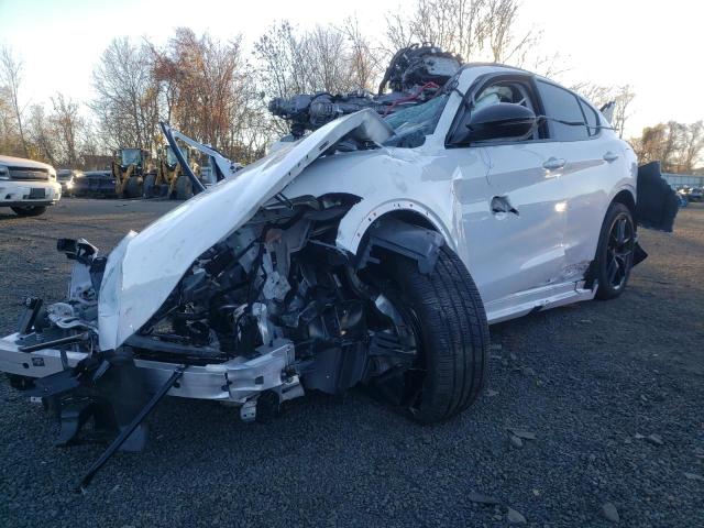 ZASPAKBN2M7D14365 - 2021 ALFA ROMEO STELVIO TI WHITE photo 2