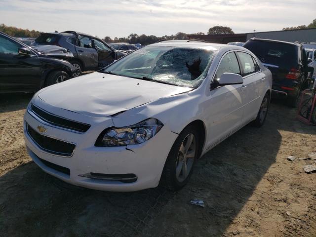 1G1ZC5E1XBF377313 - 2011 CHEVROLET MALIBU 1LT თეთრი ფოტო 2