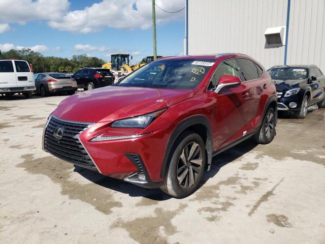JTJBARBZXK2191890 - 2019 LEXUS NX 300 BAS 红色 照片 2