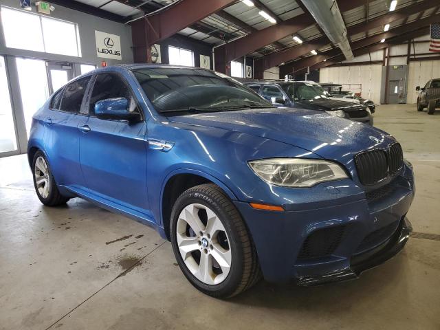 5YMGZ0C55DLL30143 - 2013 BMW X6 M BLUE photo 1