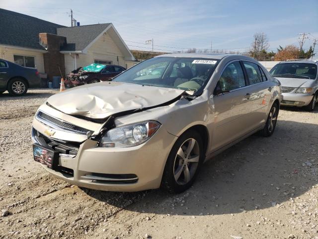 1G1ZC5E15BF187337 - 2011 CHEVROLET MALIBU 1LT თაფლისფერი ფოტო 2