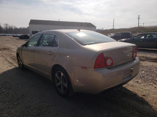 1G1ZC5E15BF187337 - 2011 CHEVROLET MALIBU 1LT თაფლისფერი ფოტო 3