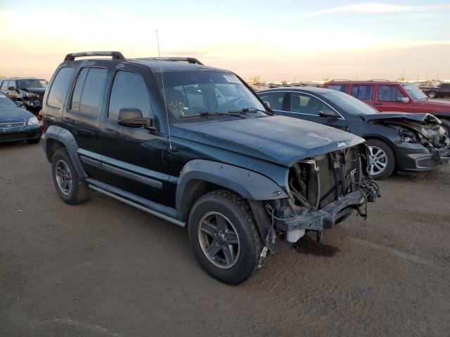 1J4GL38K65W502751 - 2005 JEEP LIBERTY RE GREEN photo 1