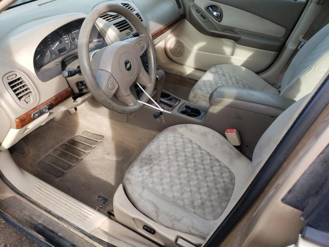 1G1ZT64874F211659 - 2004 CHEVROLET MALIBU MAX 米色 照片 7