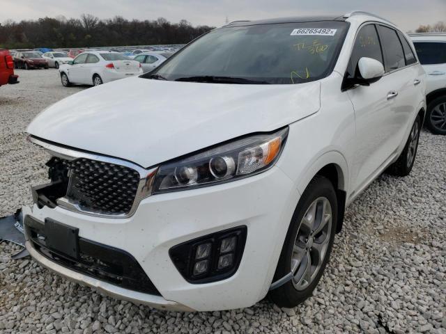 5XYPKDA11GG126962 - 2016 KIA SORENTO SX WHITE photo 2