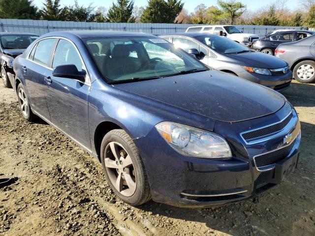 1G1ZC5E11BF242558 - 2011 CHEVROLET MALIBU 1LT 蓝色 照片 1
