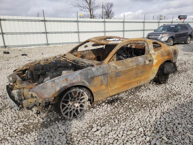 1ZVBP8JZXE5262986 - 2014 FORD MUSTANG SH BURN photo 1