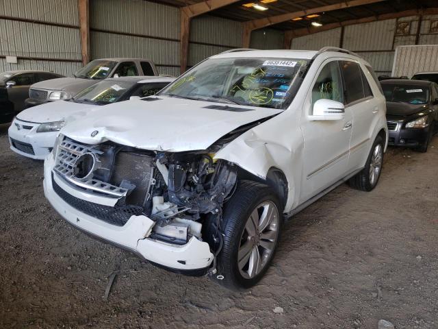 4JGBB8GB3BA707157 - 2011 MERCEDES-BENZ ML 350 4MA WHITE photo 2