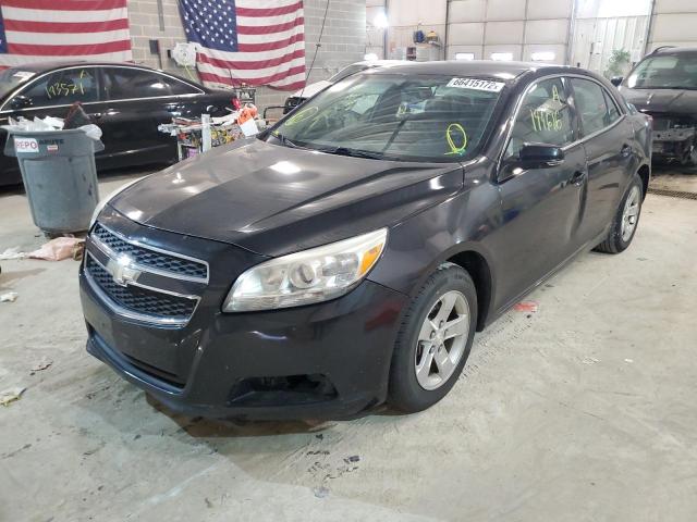 1G11C5SA2DF165266 - 2013 CHEVROLET MALIBU 1LT შავი ფოტო 2