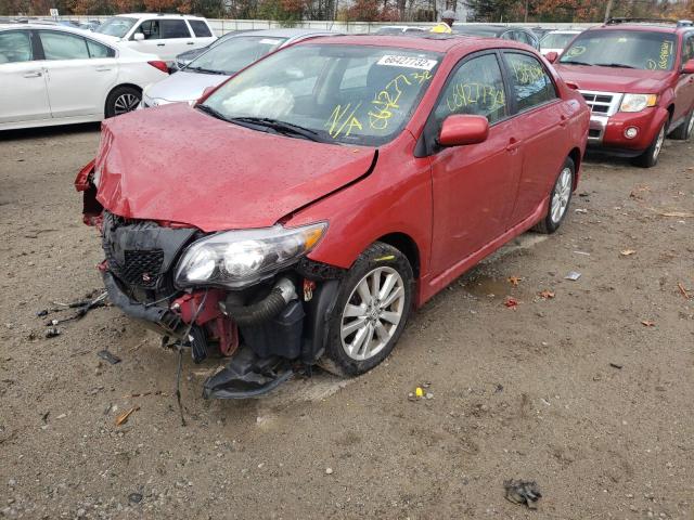 2T1BU4EE2AC260562 - 2010 TOYOTA COROLLA AU RED photo 2