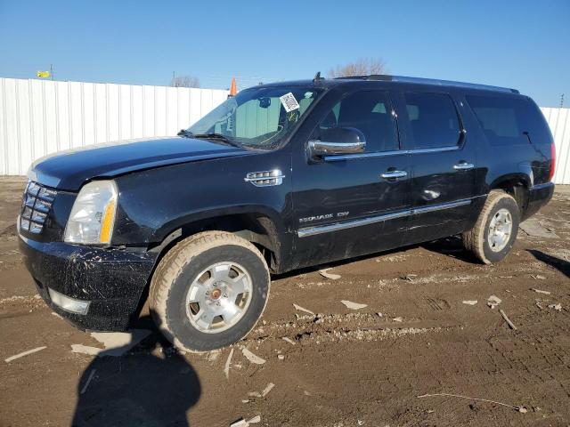 1GYFK66807R227208 - 2007 CADILLAC ESCALADE E BLACK photo 2