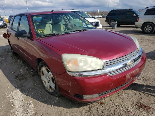 1G1ZU648X4F172627 - 2004 CHEVROLET MALIBU MAX 红色 照片 1