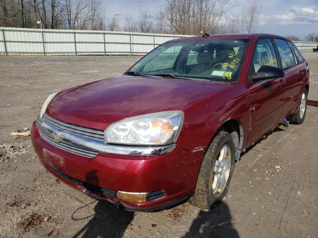 1G1ZU648X4F172627 - 2004 CHEVROLET MALIBU MAX RED photo 2