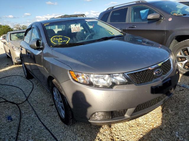 KNAFU4A29C5611266 - 2012 KIA FORTE EX GRAY photo 1