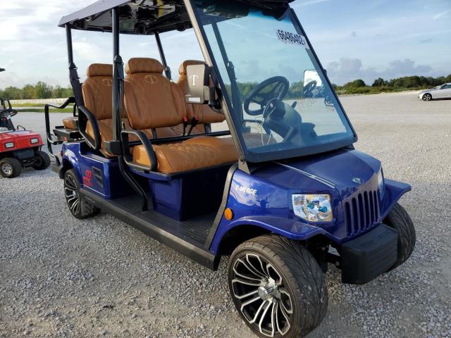 5FCDD13D3N2003079 - 2022 TOMB GOLF CART BLUE photo 1