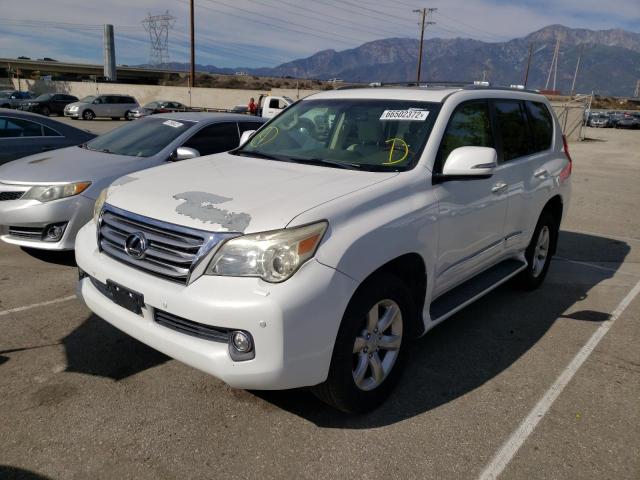 JTJJM7FX1A5008678 - 2010 LEXUS GX 460 PRE WHITE photo 2