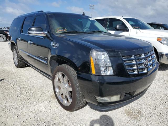 1GYUCJEF2AR137556 - 2010 CADILLAC ESCALADE E BLACK photo 1