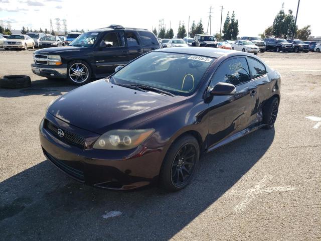 JTKDE167880265346 - 2008 TOYOTA SCION TC PURPLE photo 2